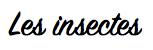 insectes