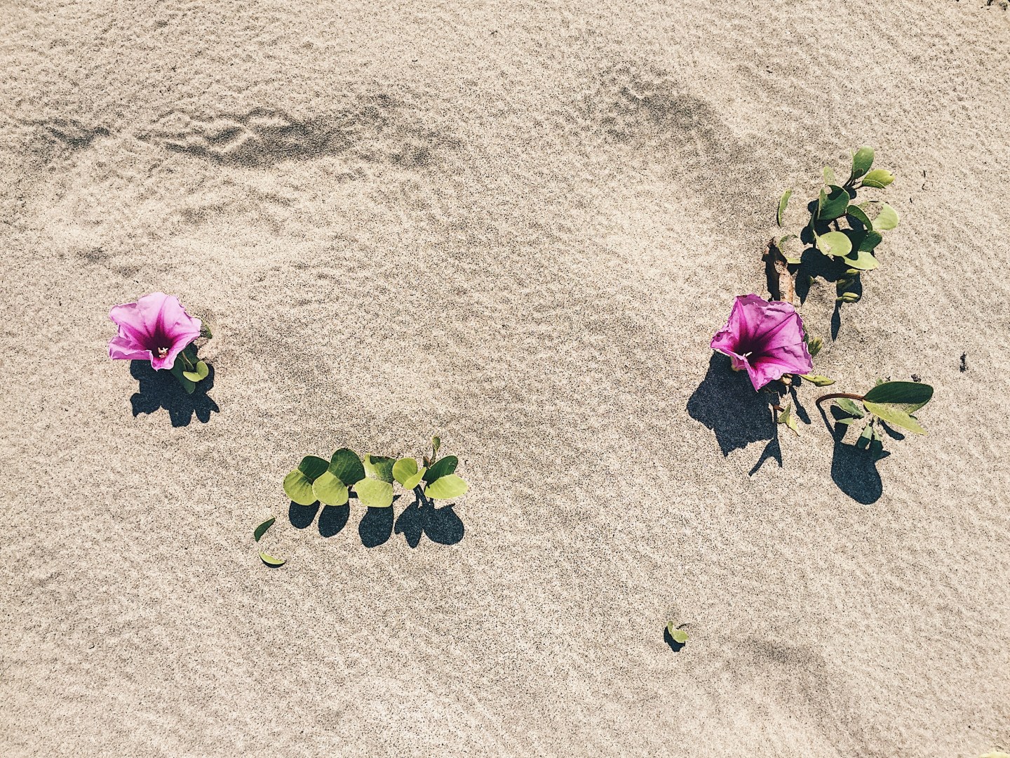 Processed with VSCO with hb2 preset