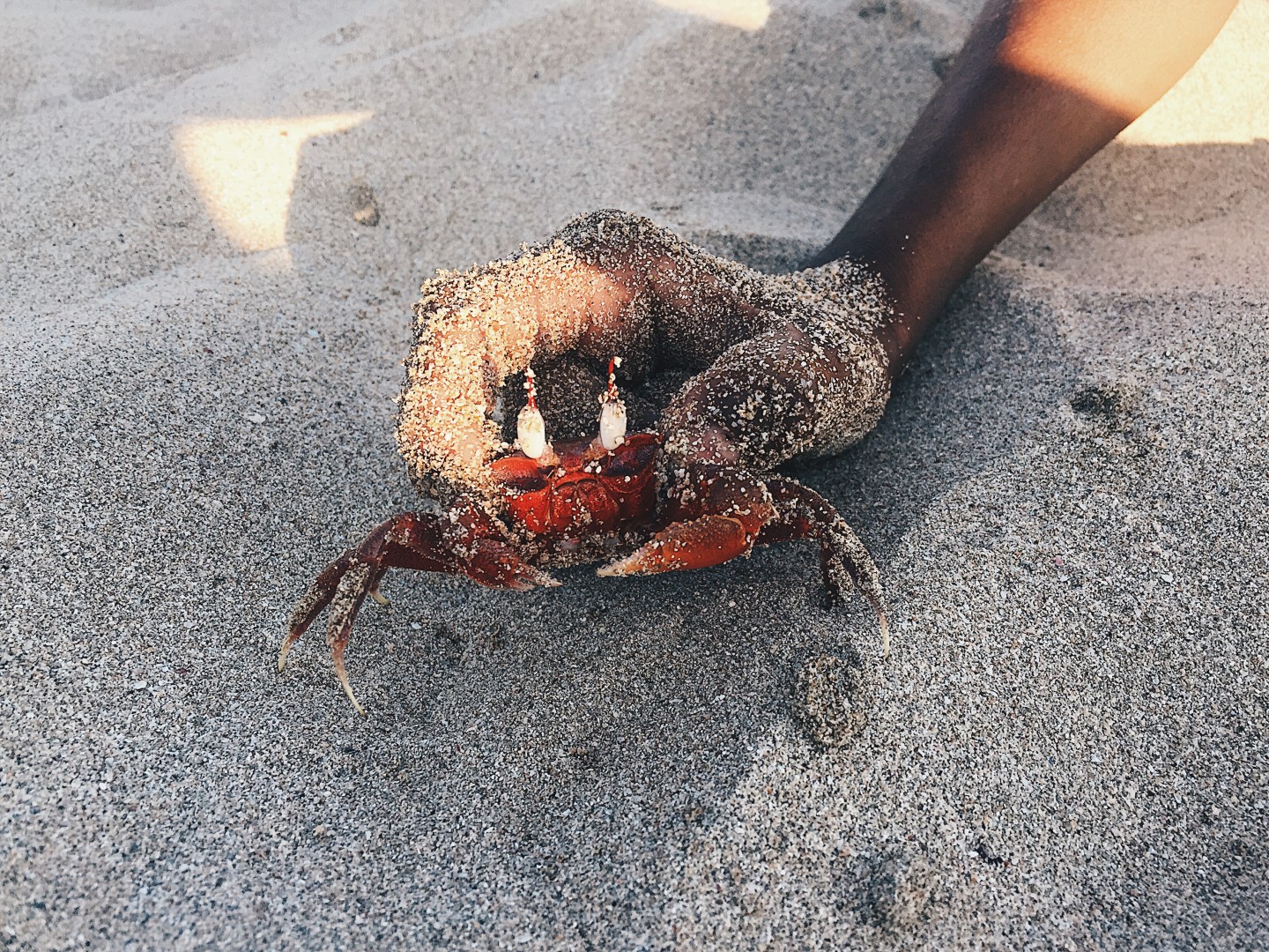 Processed with VSCO with hb2 preset