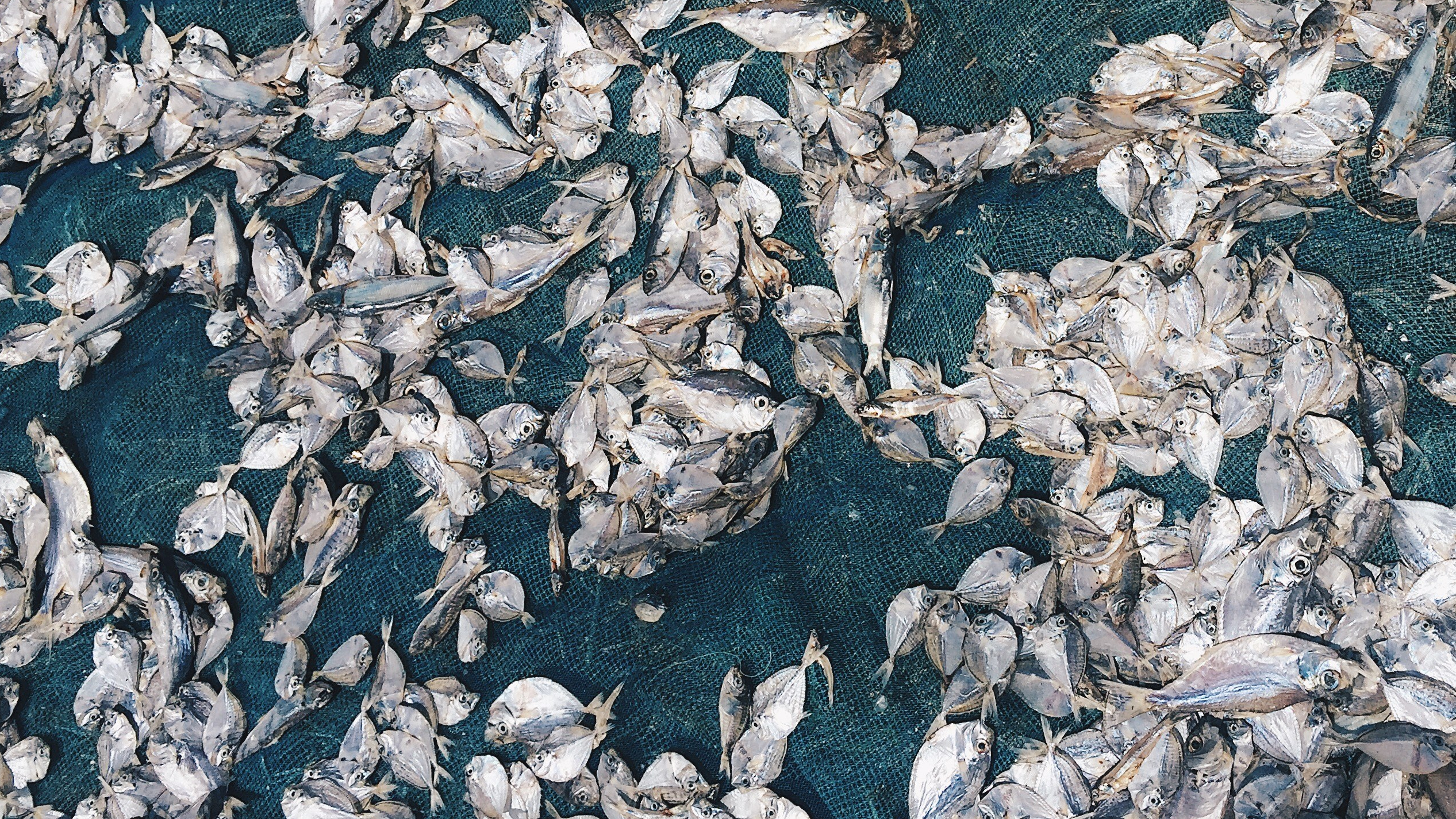 Processed with VSCO with hb2 preset