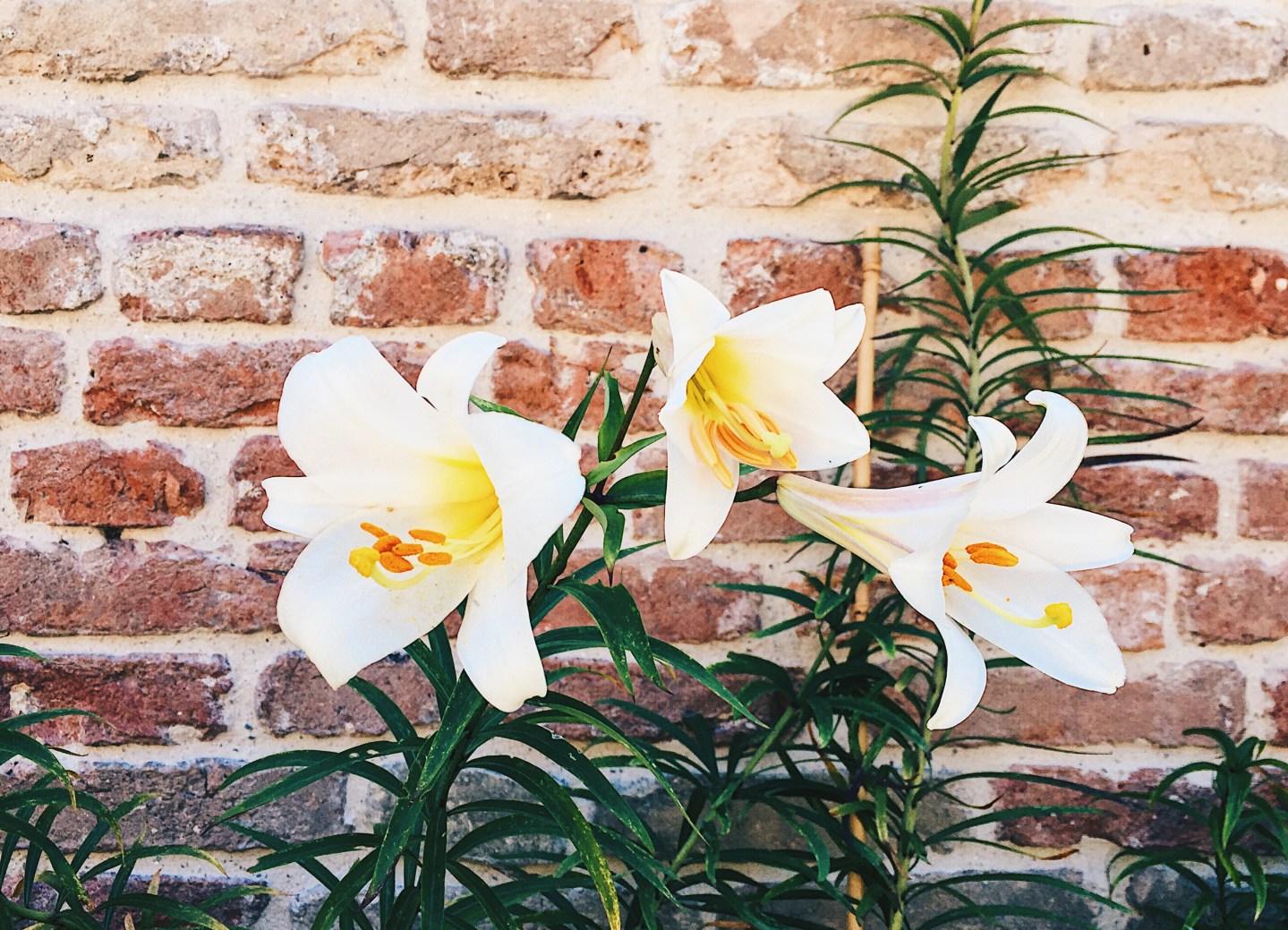 Processed with VSCO with hb2 preset