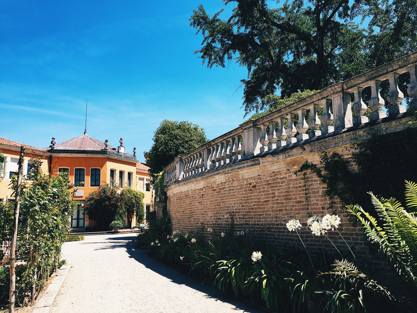 Processed with VSCO with hb2 preset