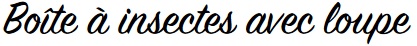 Boite à insectes