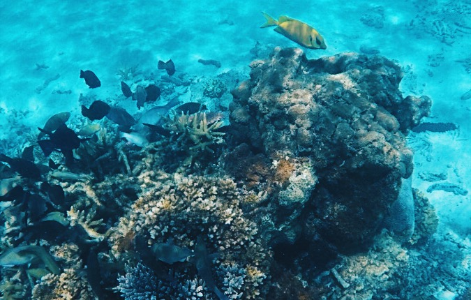 Processed with VSCO with hb2 preset