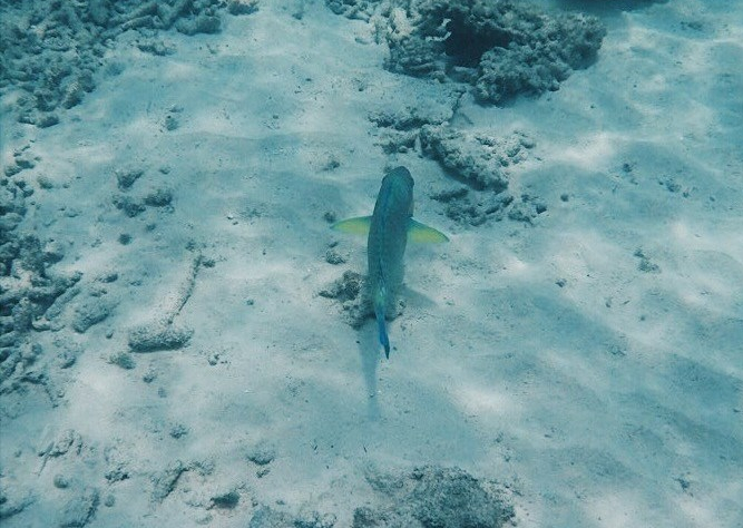 Processed with VSCO with hb2 preset