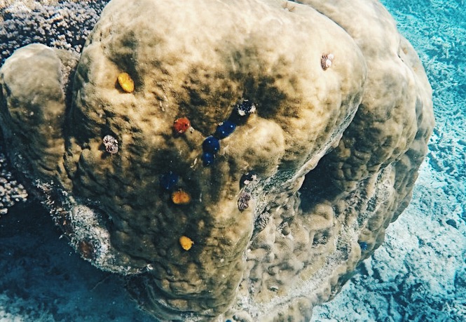 Processed with VSCO with hb2 preset