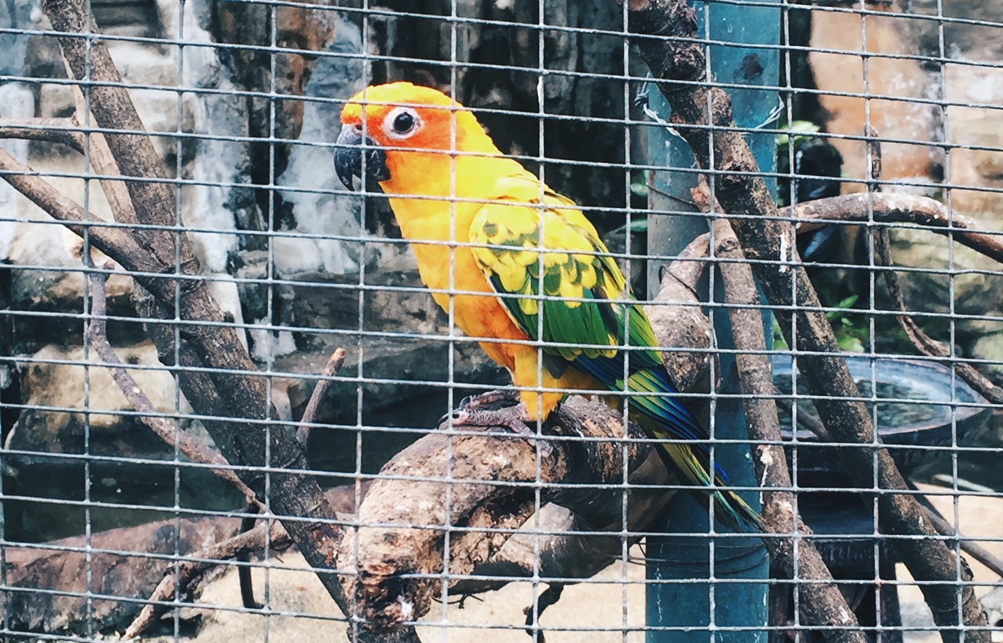 Processed with VSCO with hb2 preset