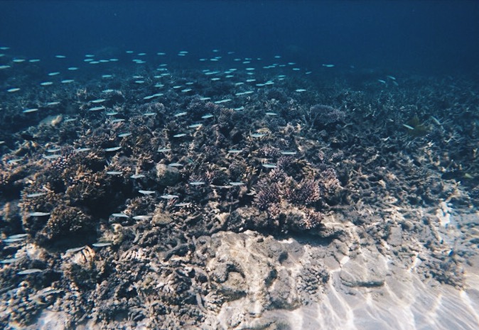 Processed with VSCO with hb2 preset