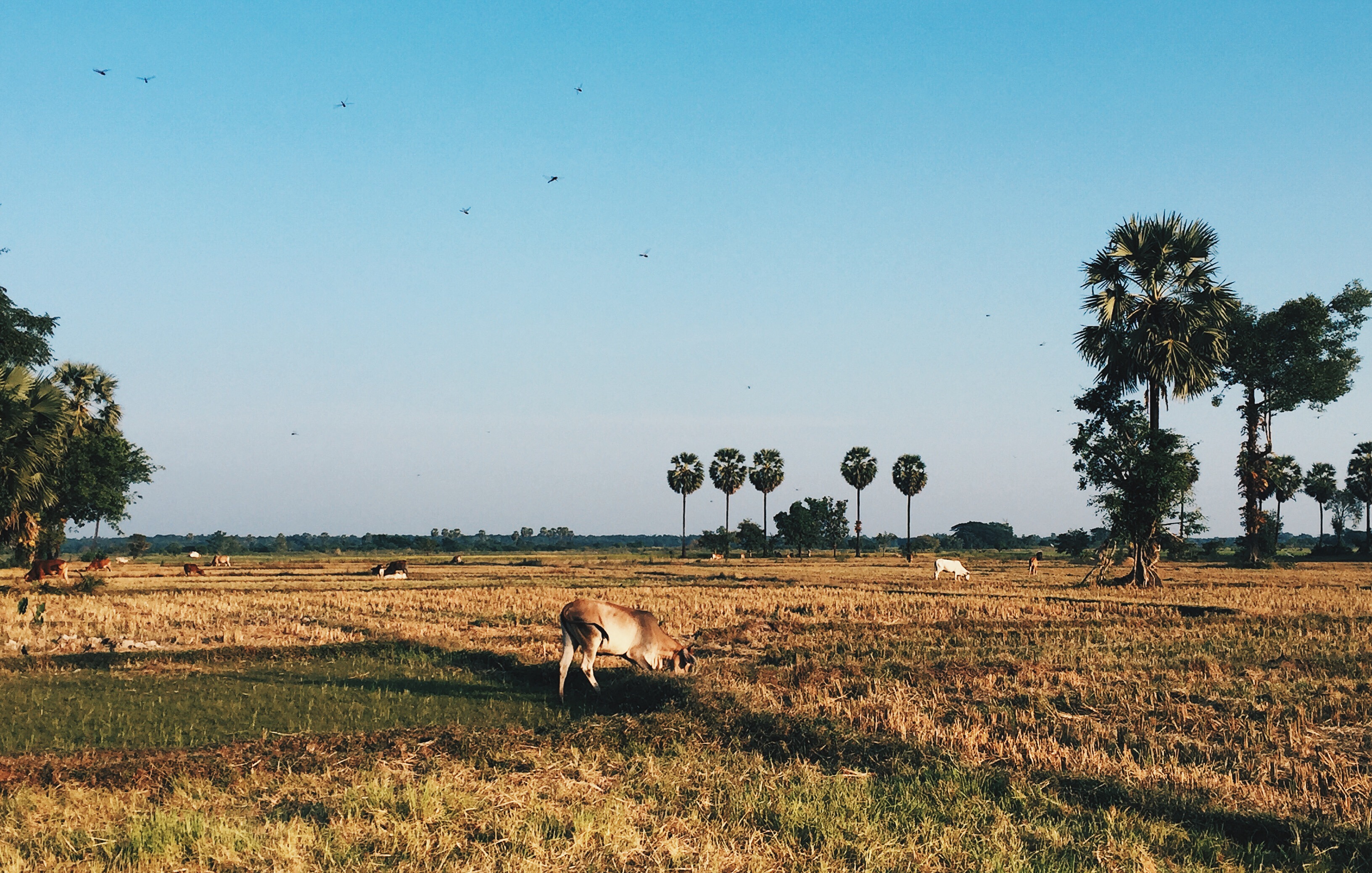 Processed with VSCO with hb2 preset