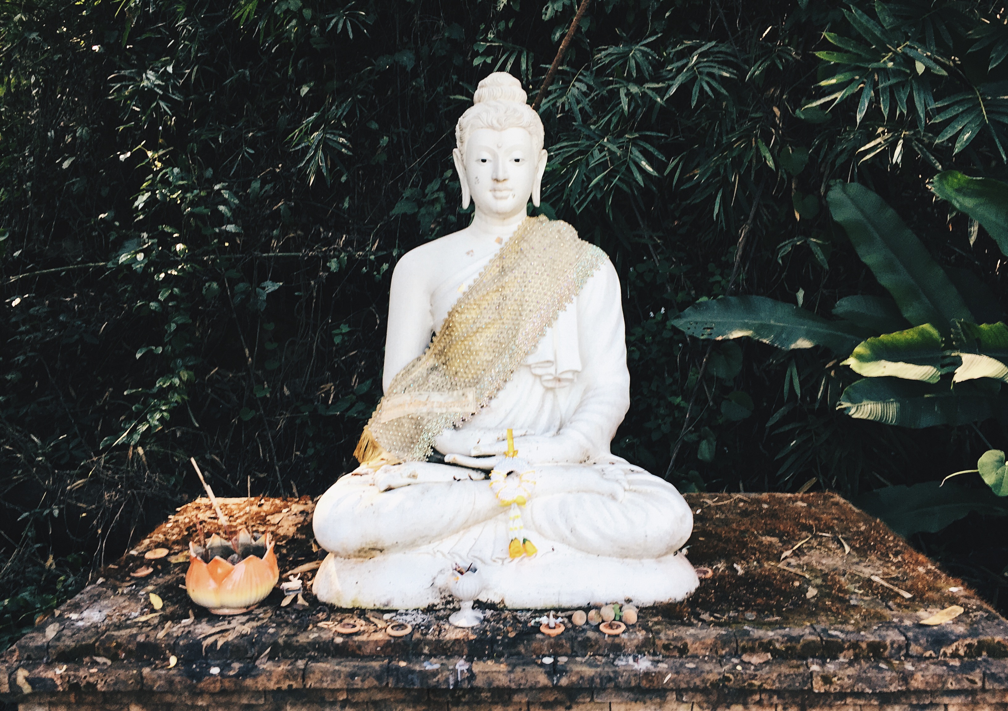 Processed with VSCO with hb2 preset