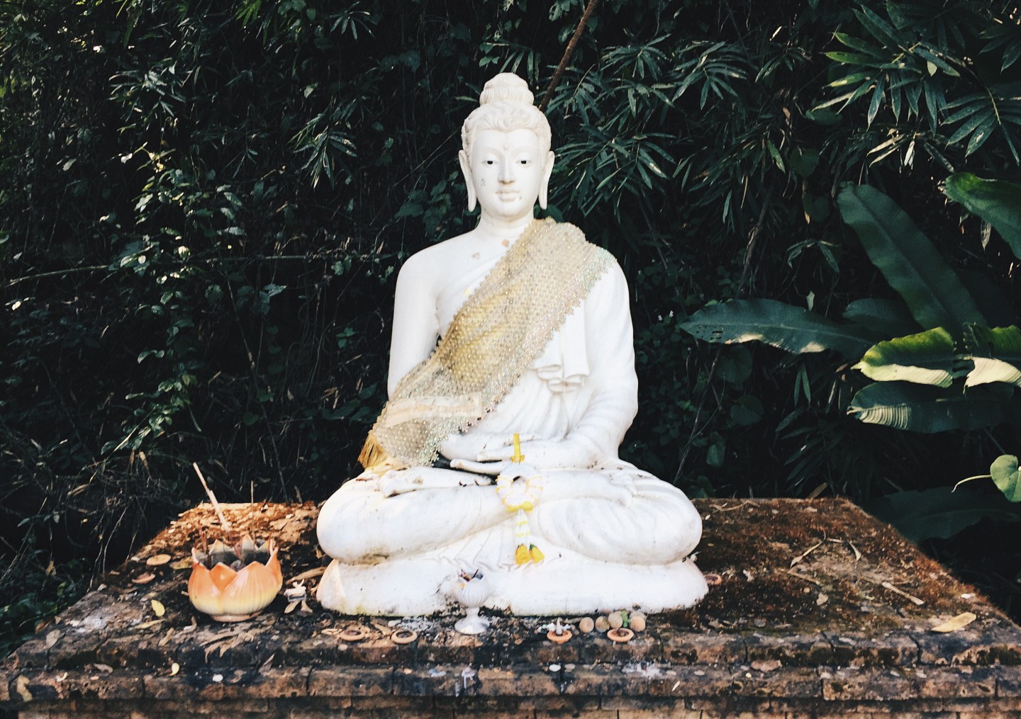 Processed with VSCO with hb2 preset