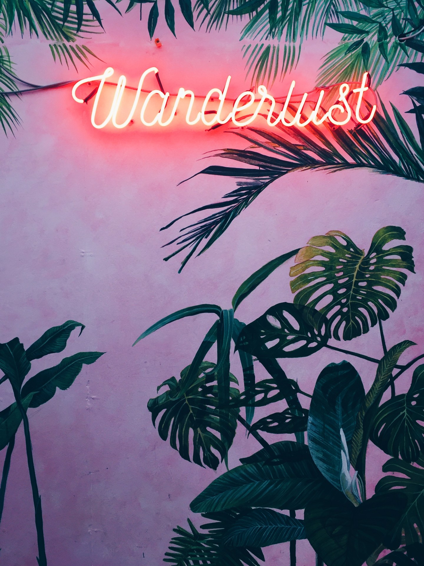 Processed with VSCO with hb1 preset