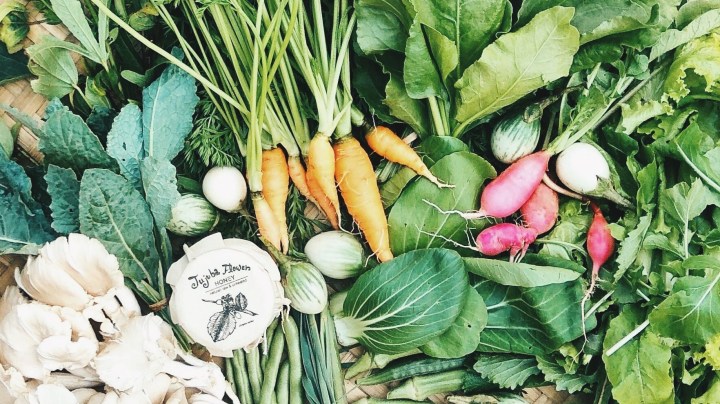 Kokkoya Organics : les veggie box débarquent à Yangon&nbsp;!