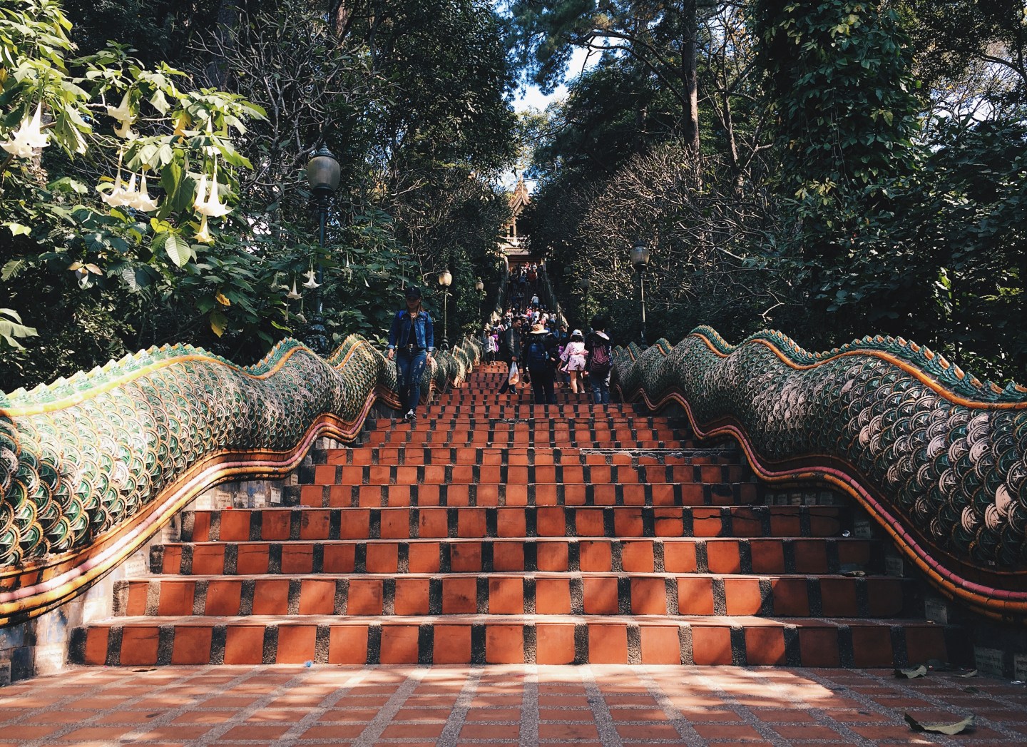 Processed with VSCO with hb2 preset