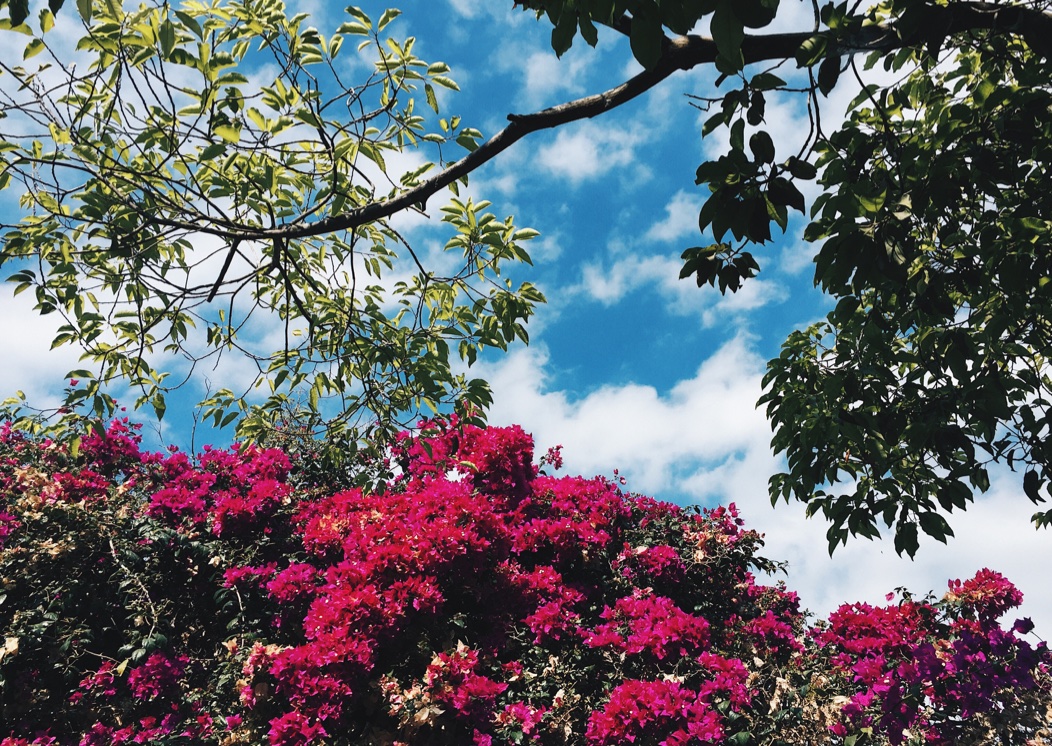 Processed with VSCO with hb2 preset