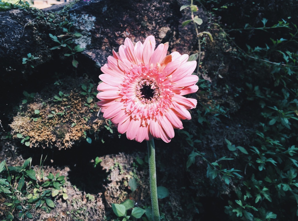 Processed with VSCO with hb2 preset