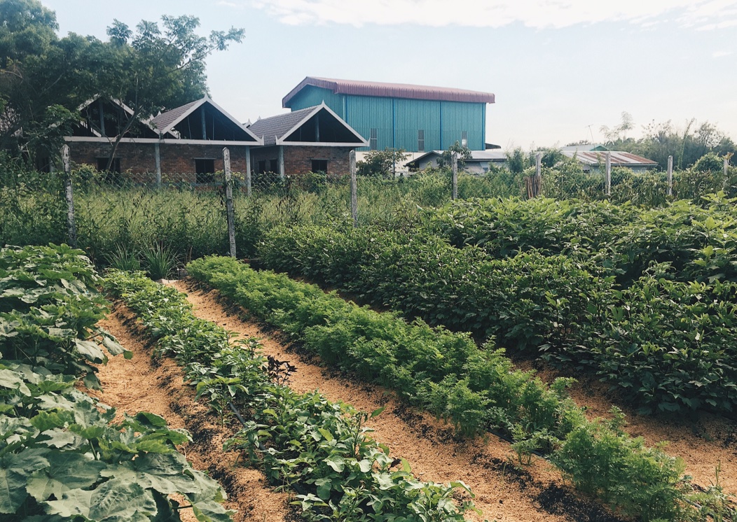 Processed with VSCO with hb2 preset