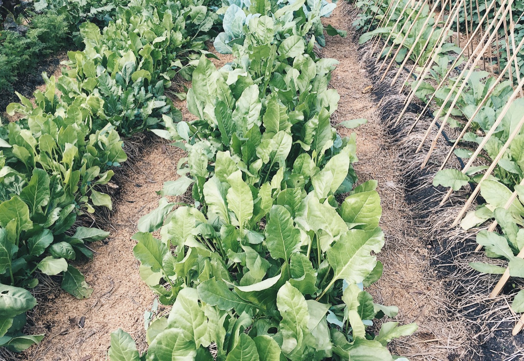 Processed with VSCO with hb2 preset