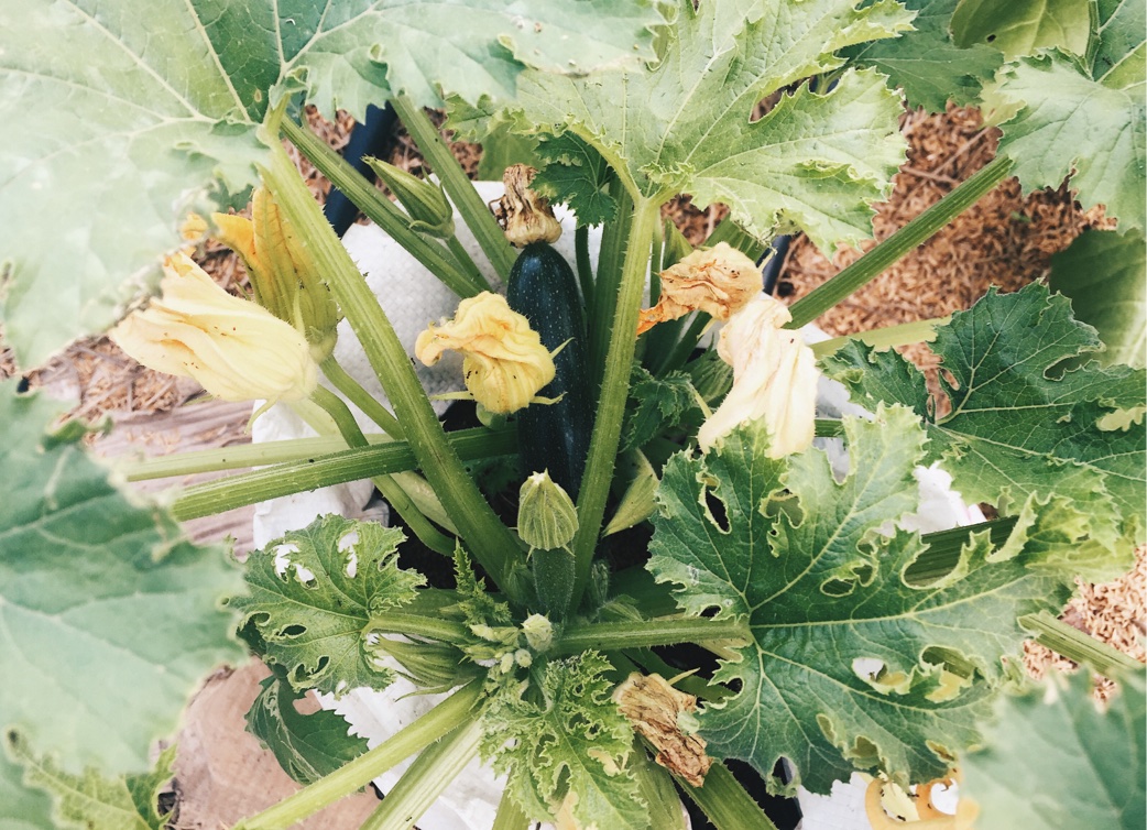 Processed with VSCO with hb2 preset