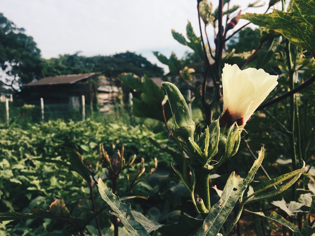 Processed with VSCO with hb2 preset