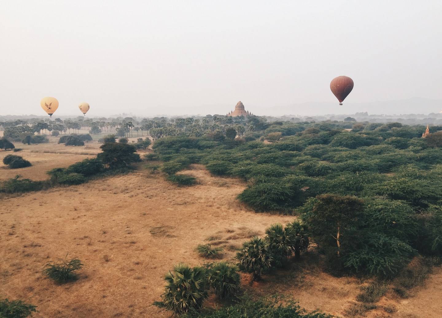 Processed with VSCO with hb2 preset