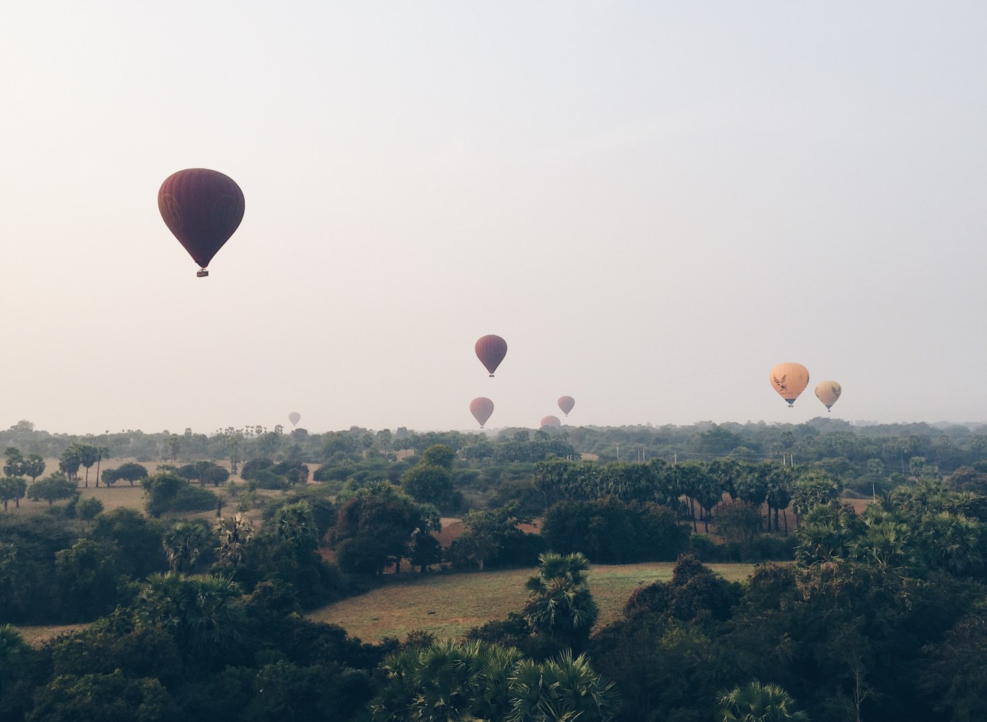 Processed with VSCO with hb1 preset