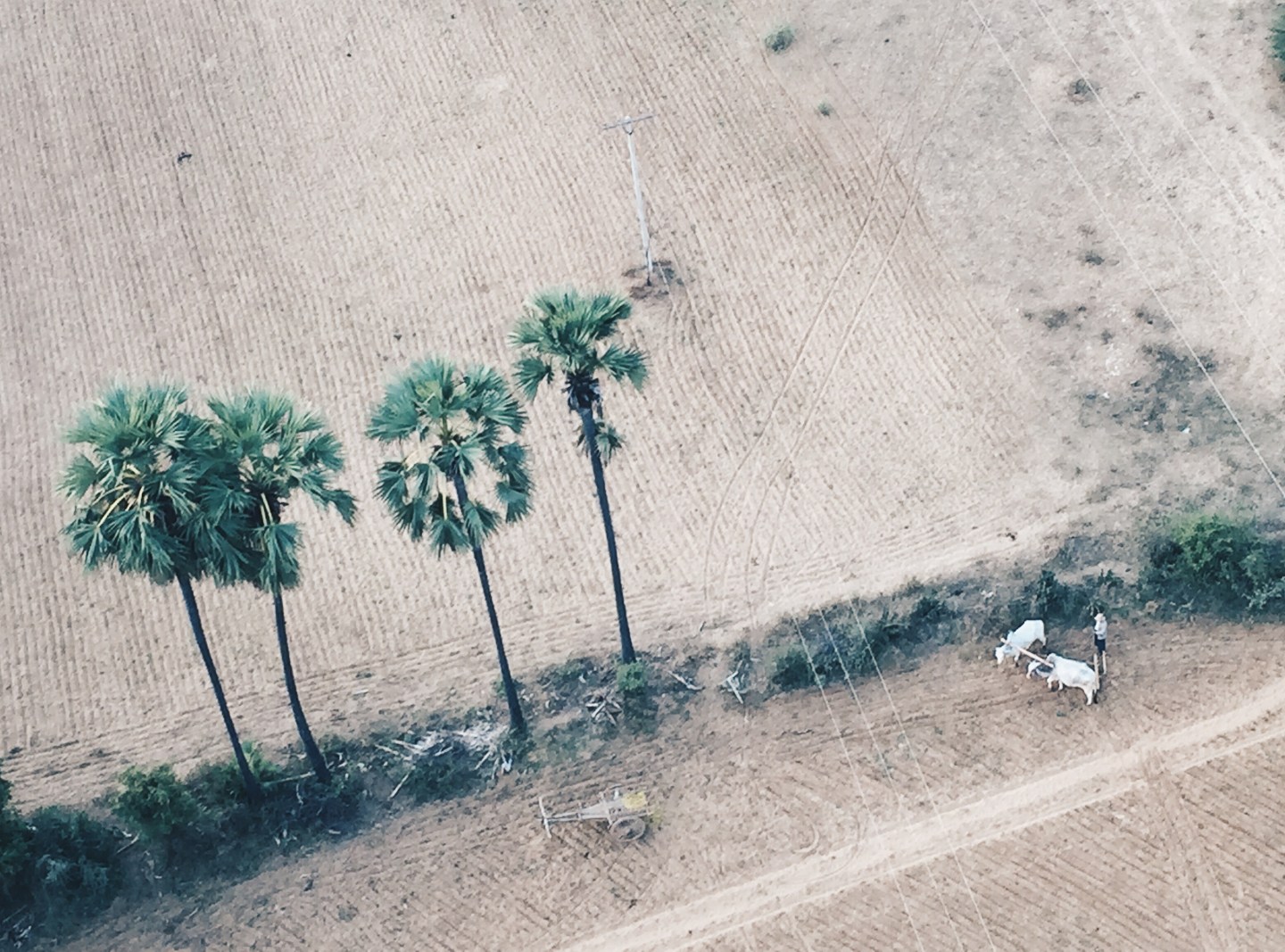 Processed with VSCO with hb2 preset