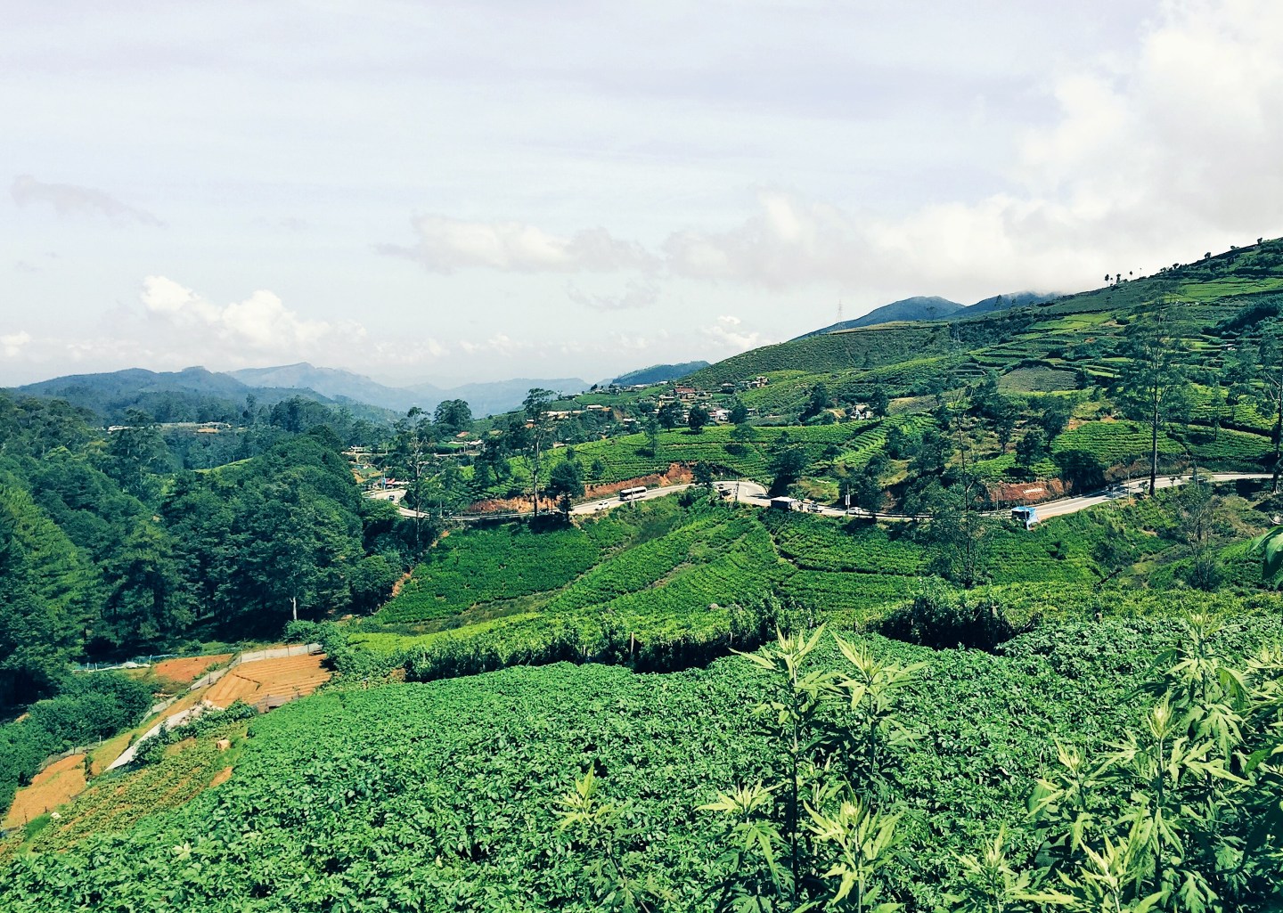 Processed with VSCO with hb1 preset