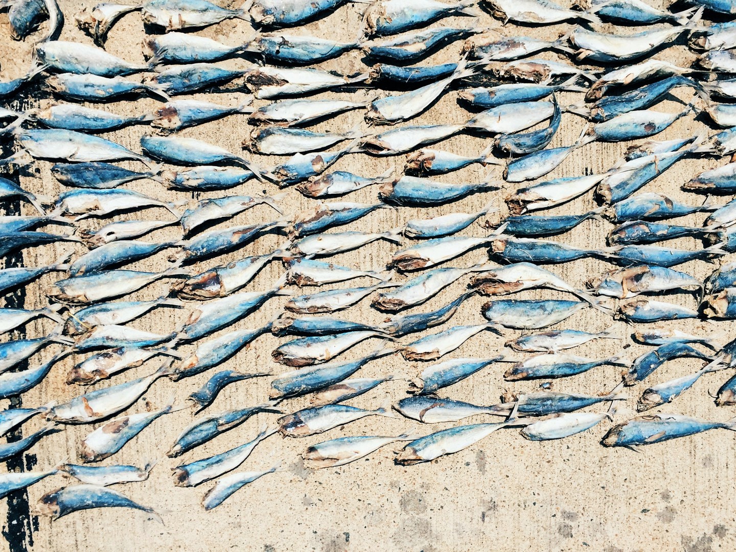 Processed with VSCO with hb2 preset