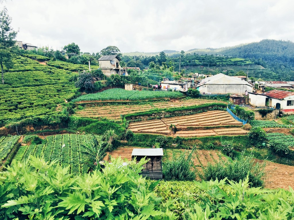 Processed with VSCO with hb1 preset