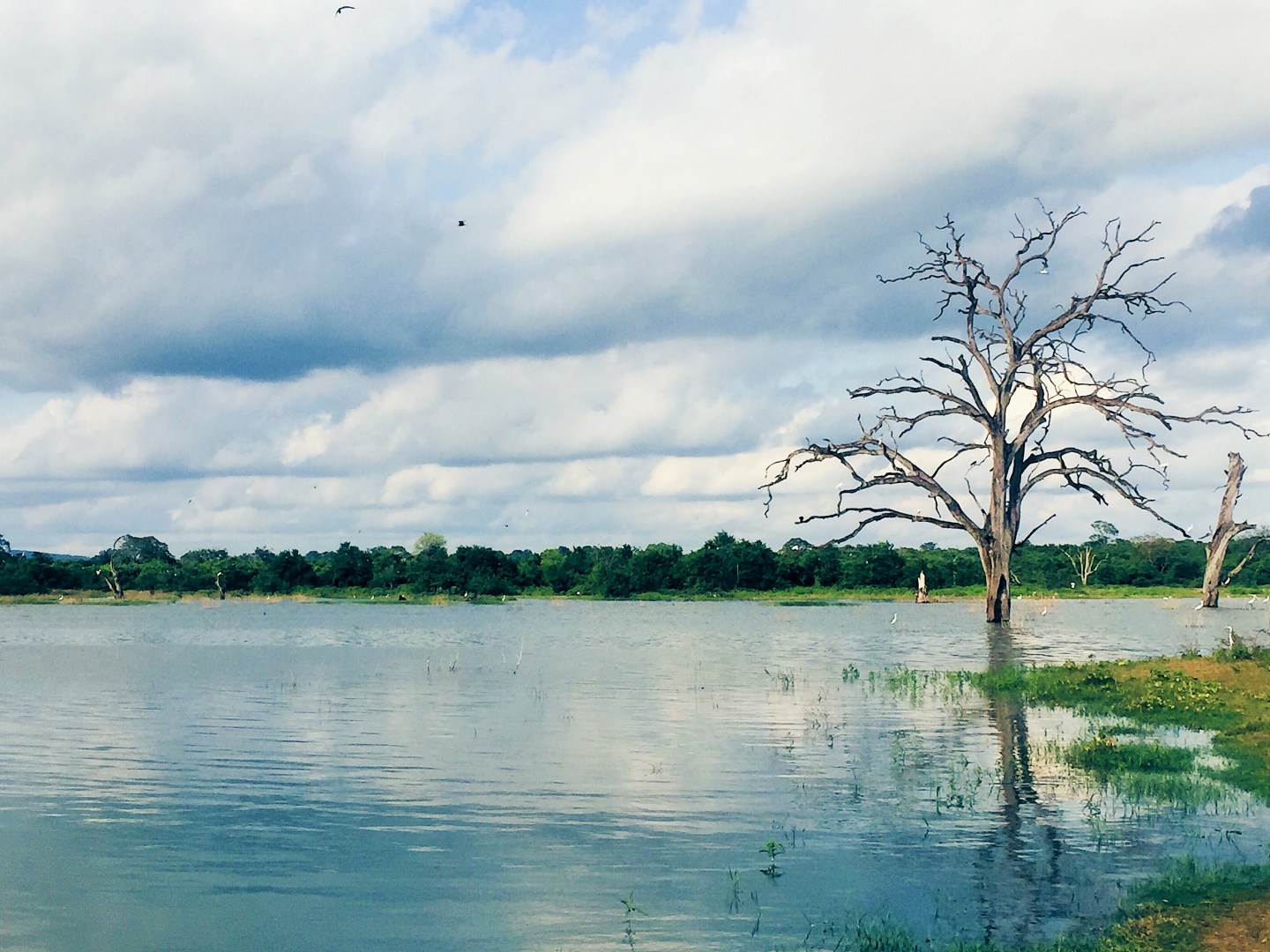 Processed with VSCO with hb1 preset