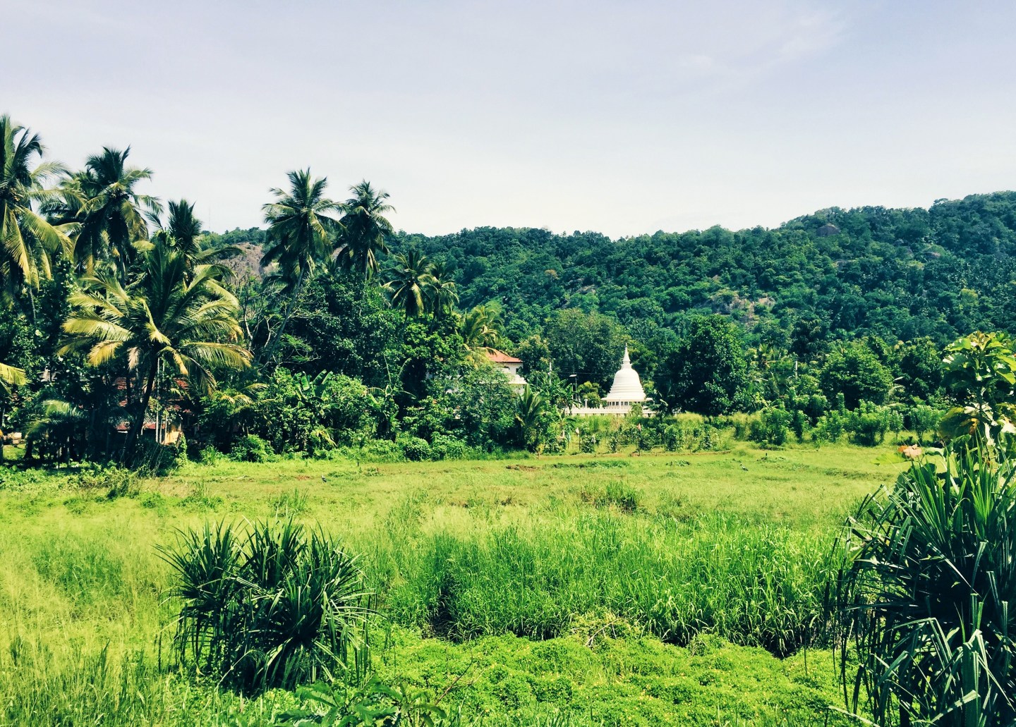 Processed with VSCO with hb1 preset