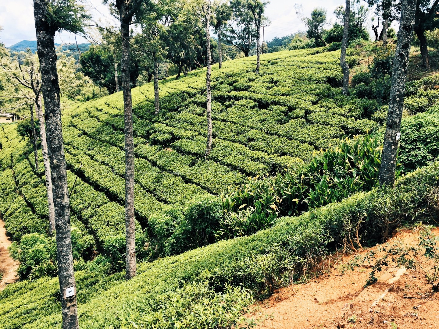 Processed with VSCO with hb2 preset