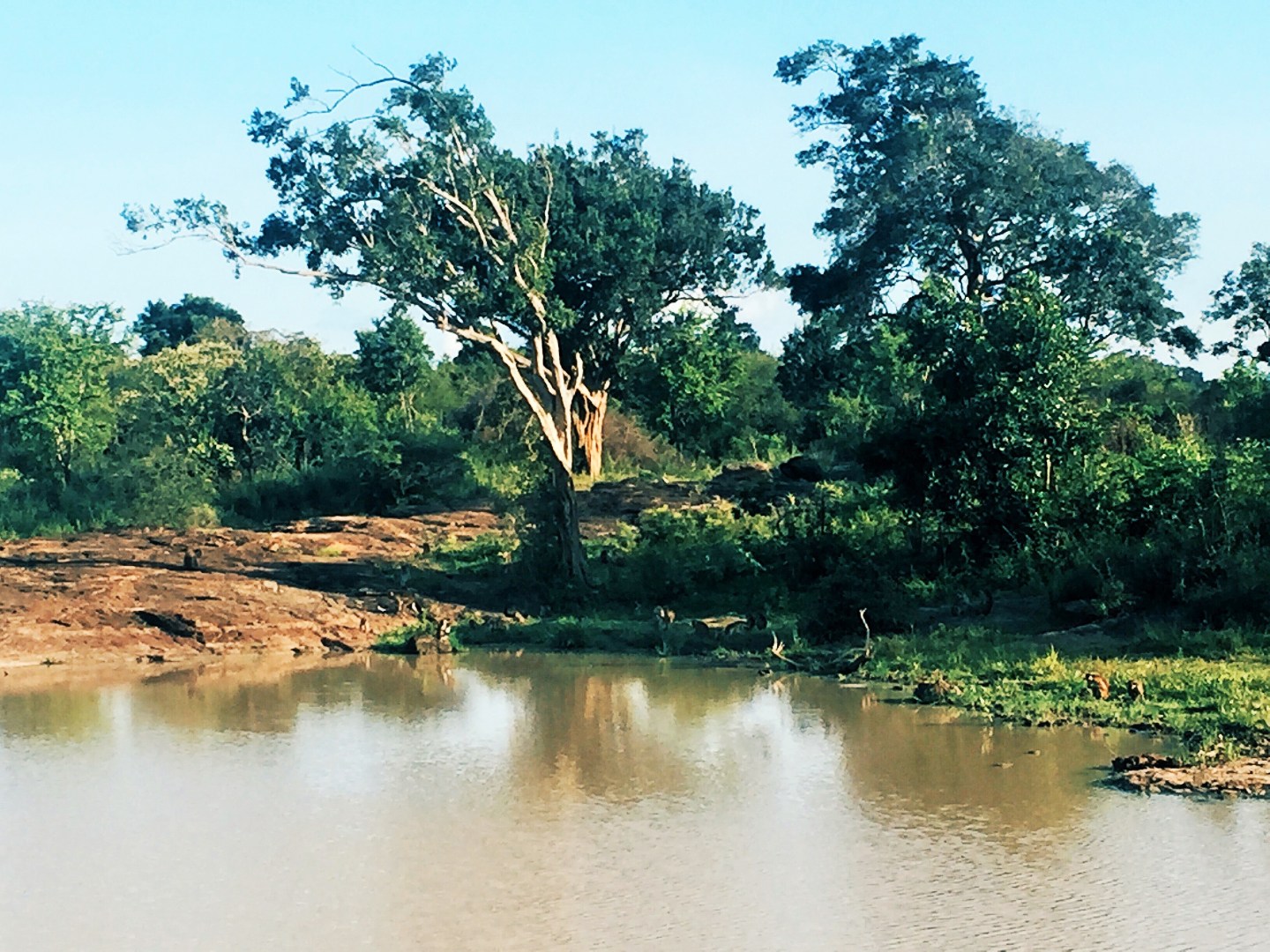 Processed with VSCO with hb2 preset