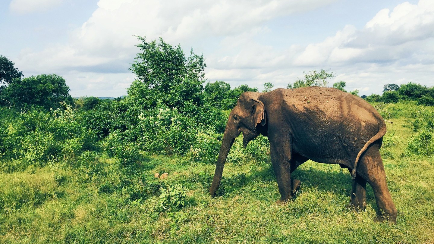 Processed with VSCO with hb1 preset