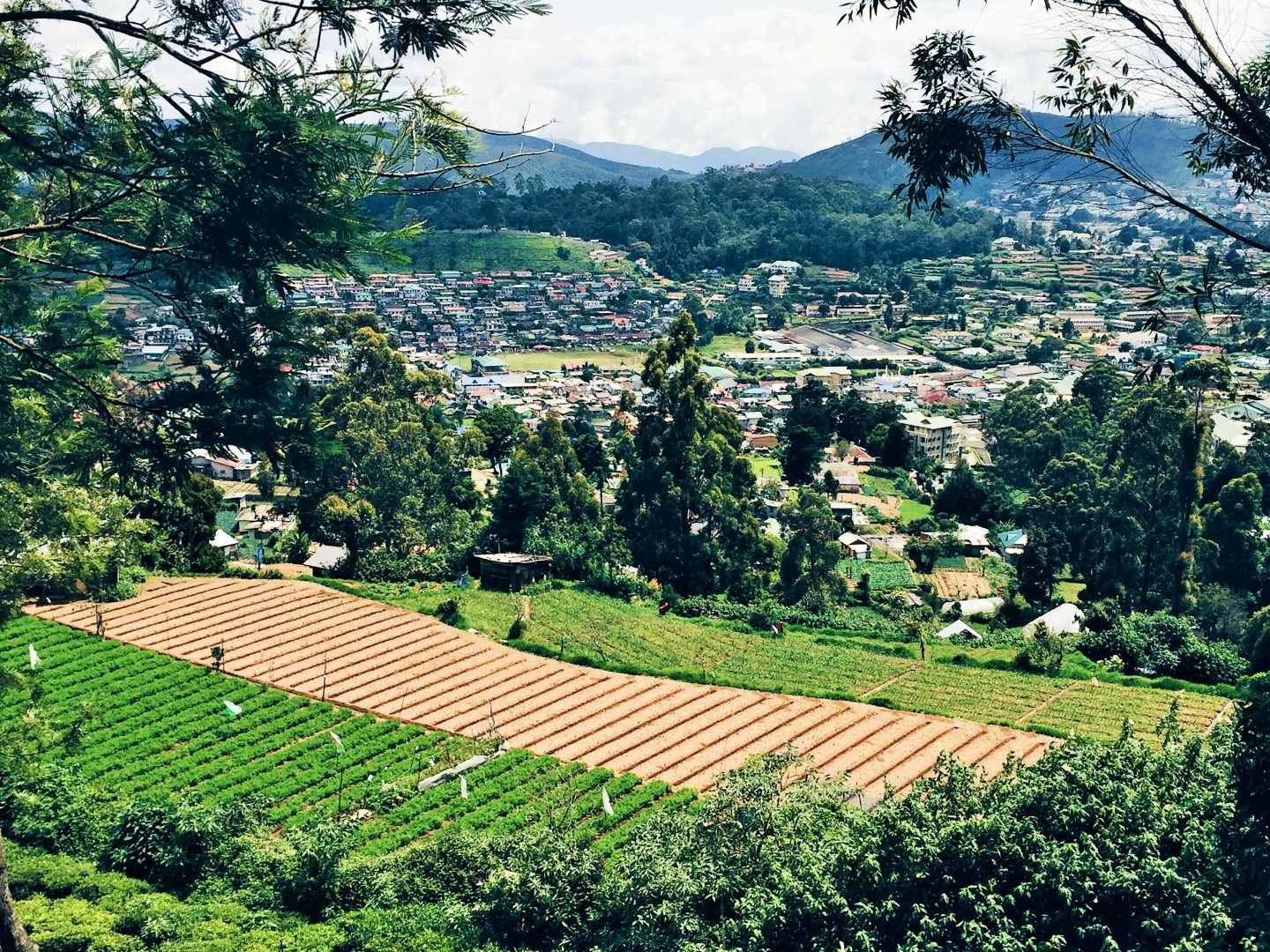 Processed with VSCO with hb1 preset