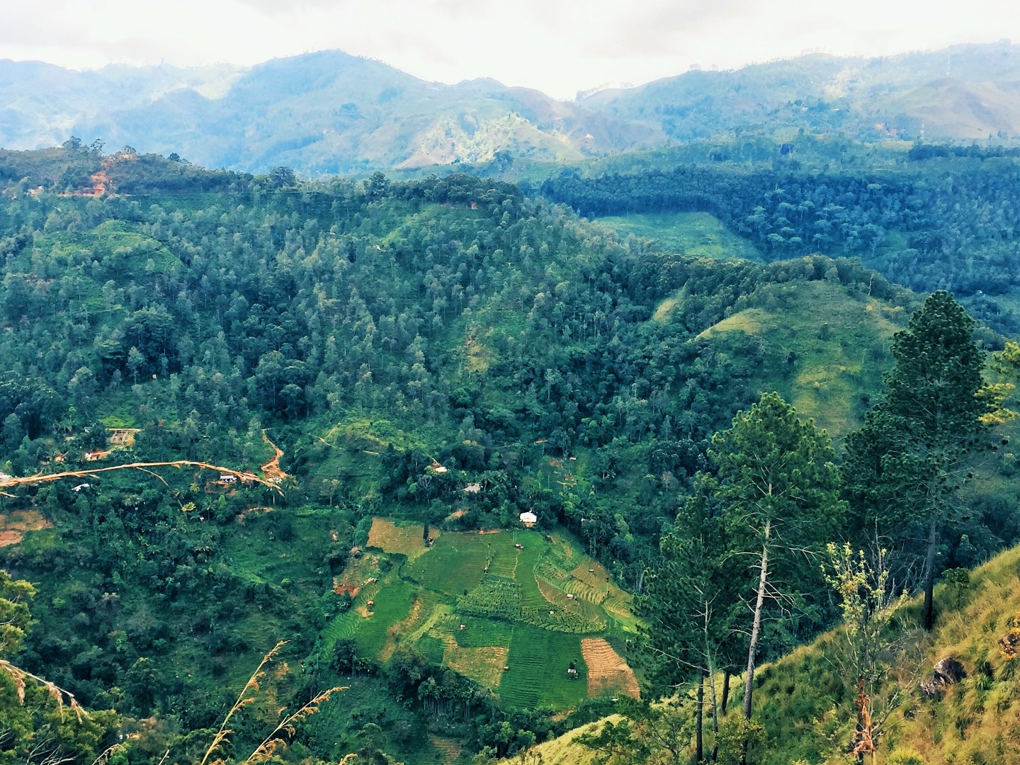 Processed with VSCO with hb2 preset