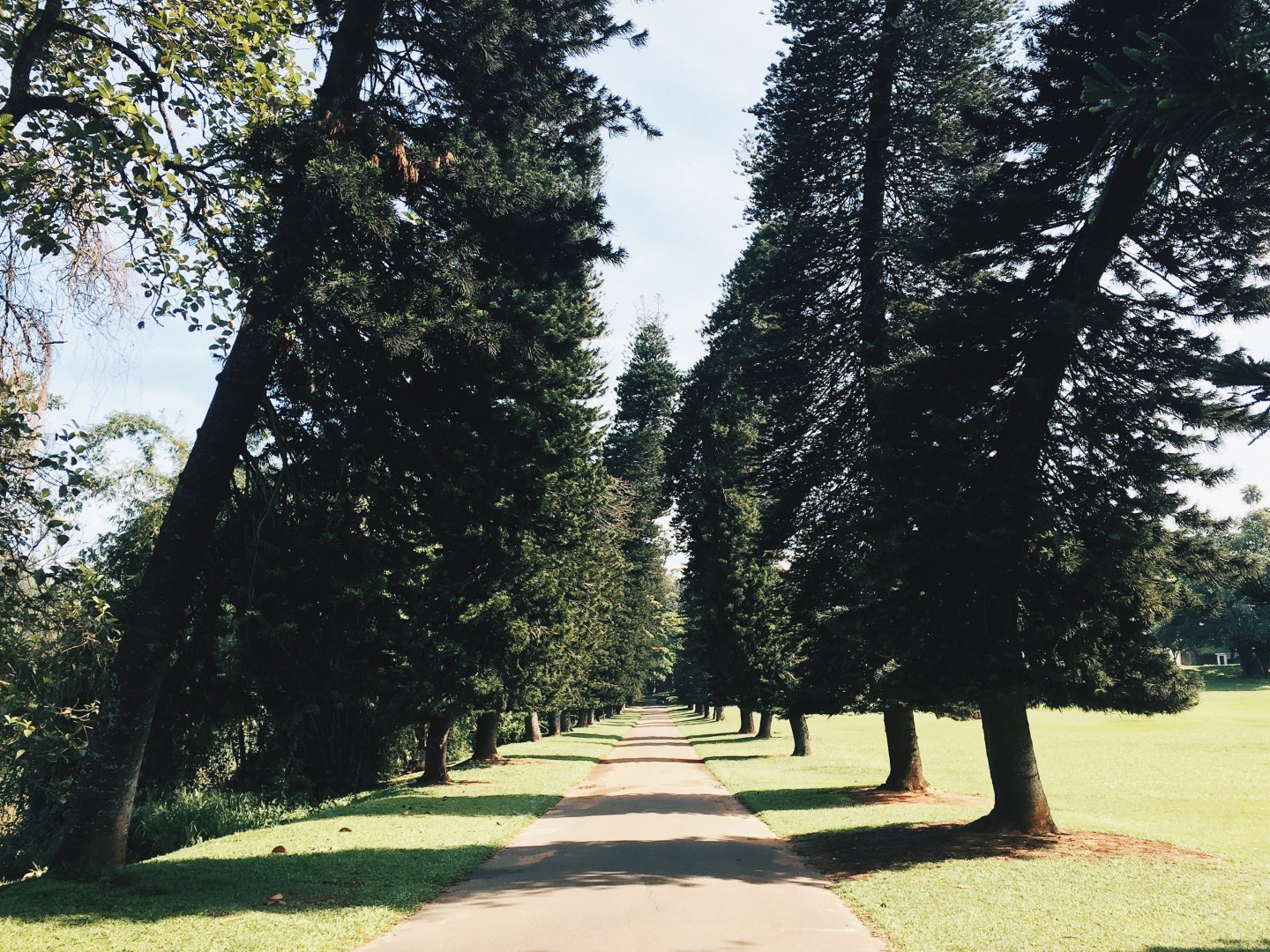 Processed with VSCO with hb2 preset