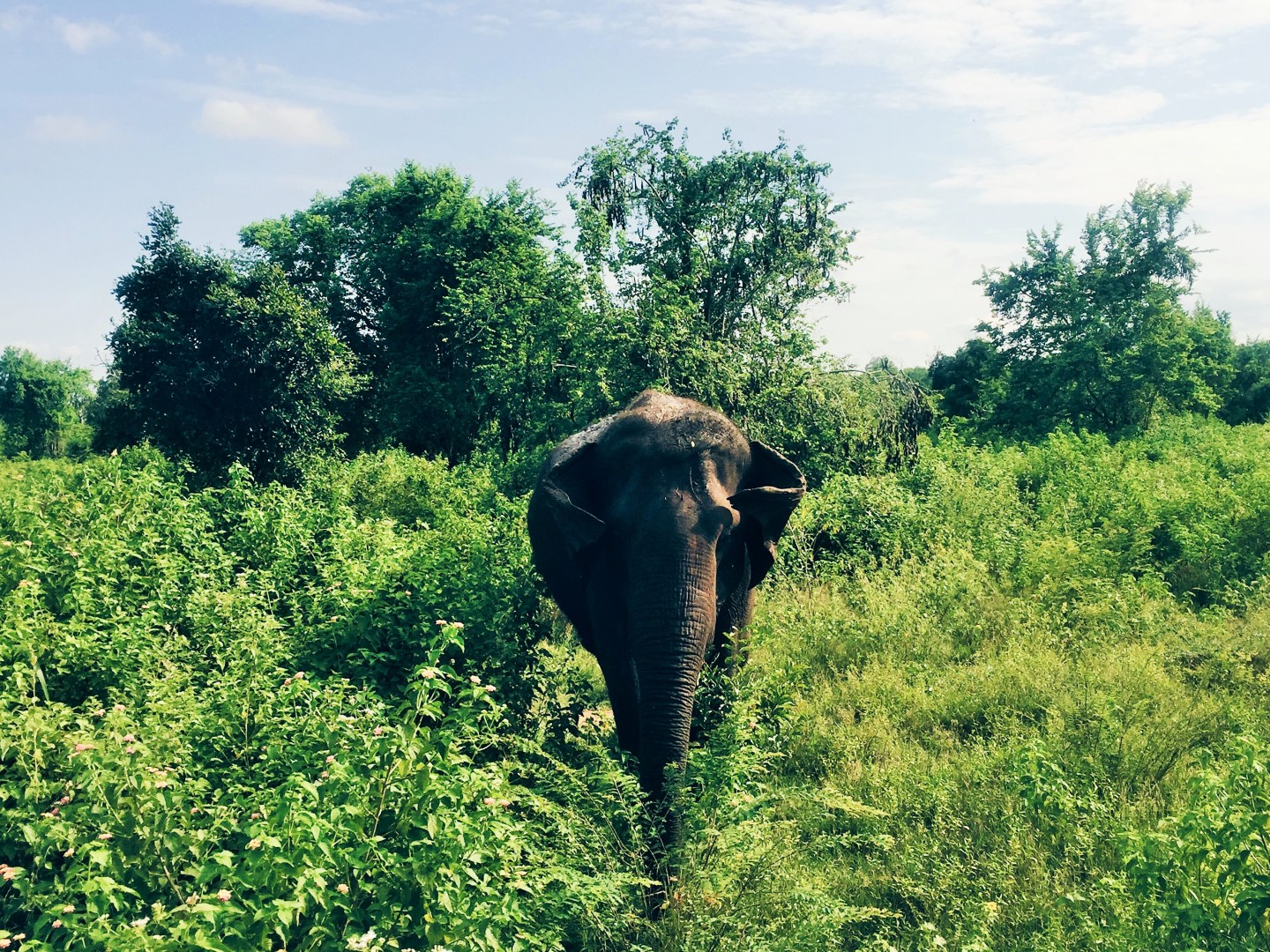 Processed with VSCO with hb1 preset