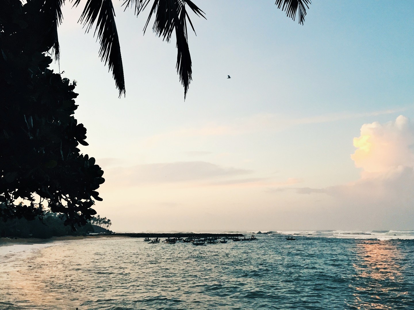 Processed with VSCO with hb2 preset