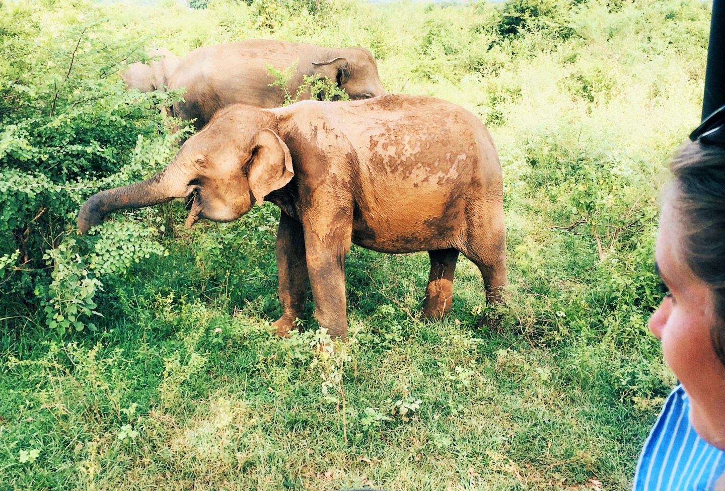 Processed with VSCO with hb2 preset