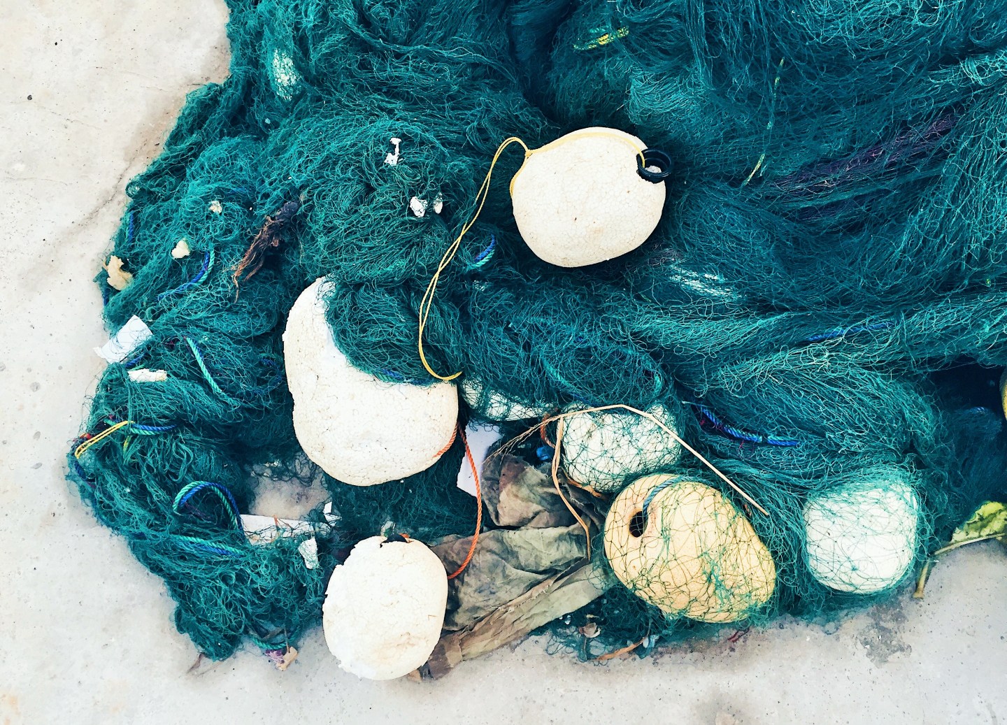 Processed with VSCO with hb1 preset