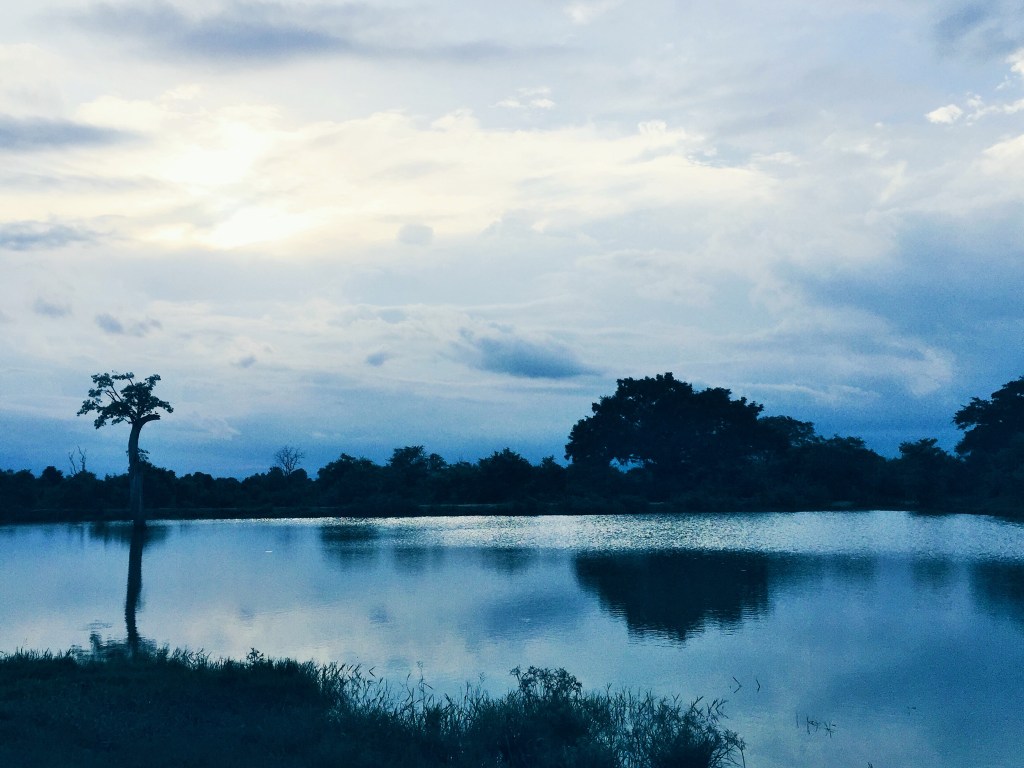 Processed with VSCO with hb1 preset