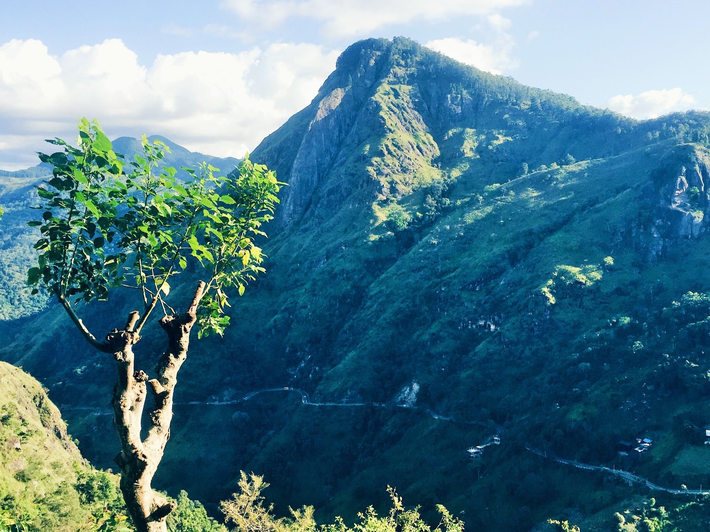 Processed with VSCO with hb1 preset