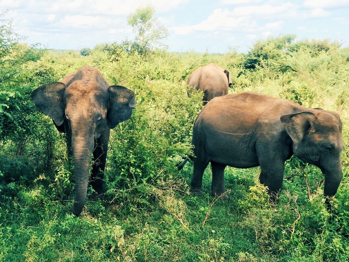 Processed with VSCO with hb2 preset