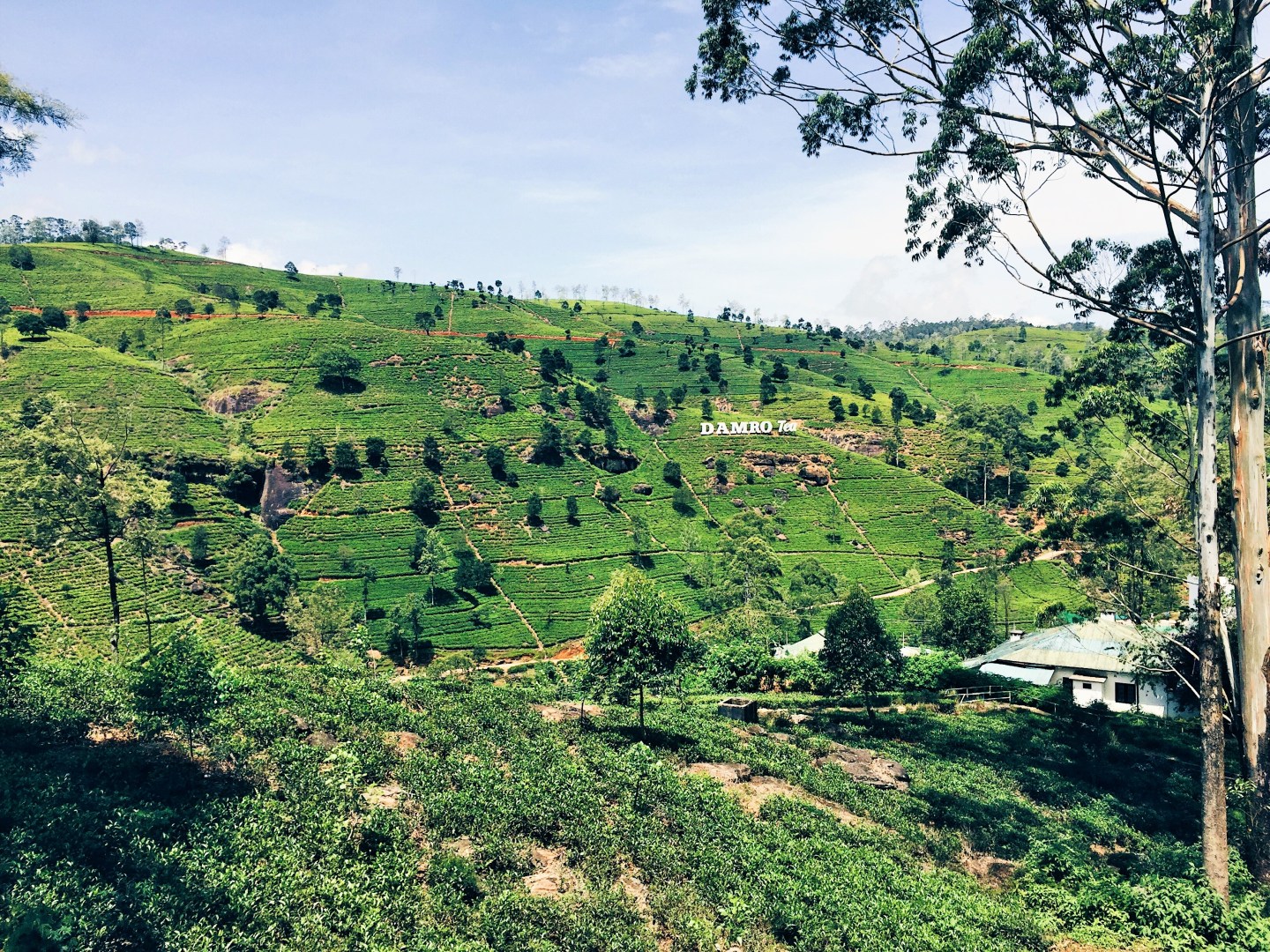 Processed with VSCO with hb1 preset