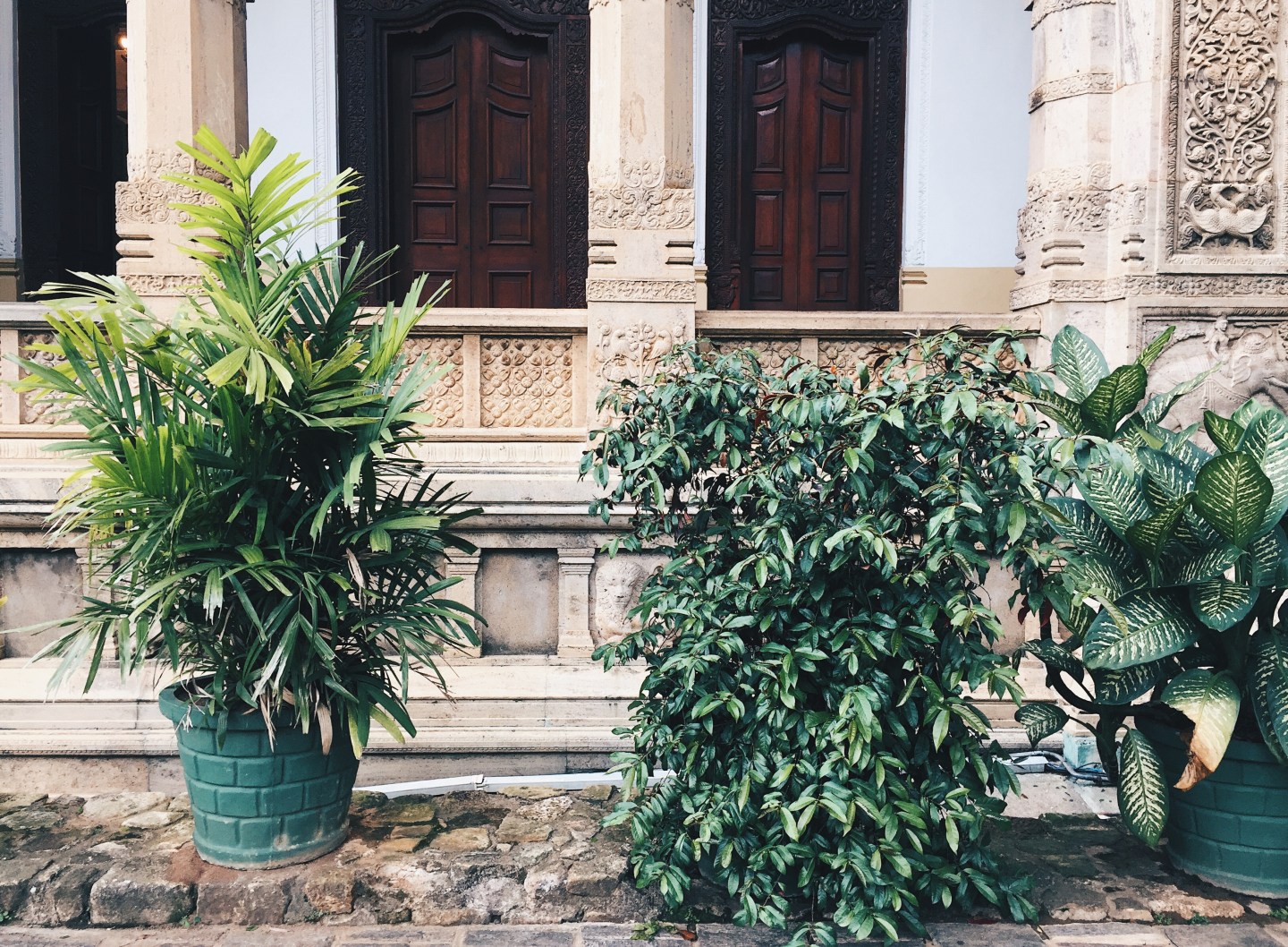 Processed with VSCO with hb2 preset