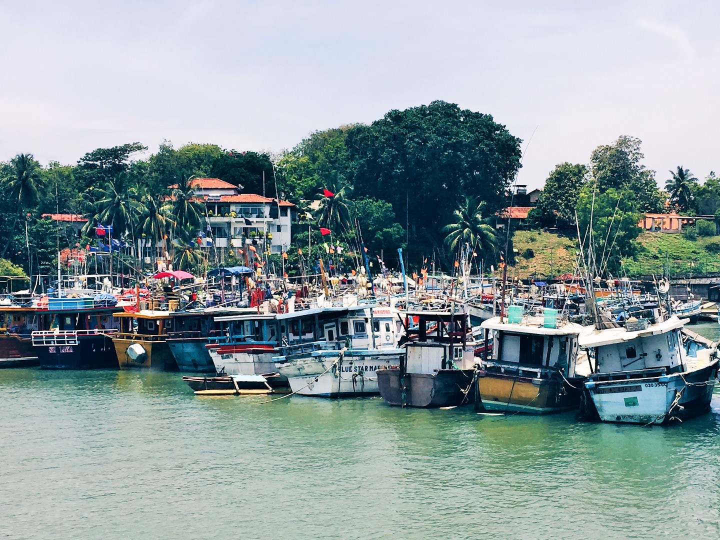 Processed with VSCO with hb1 preset