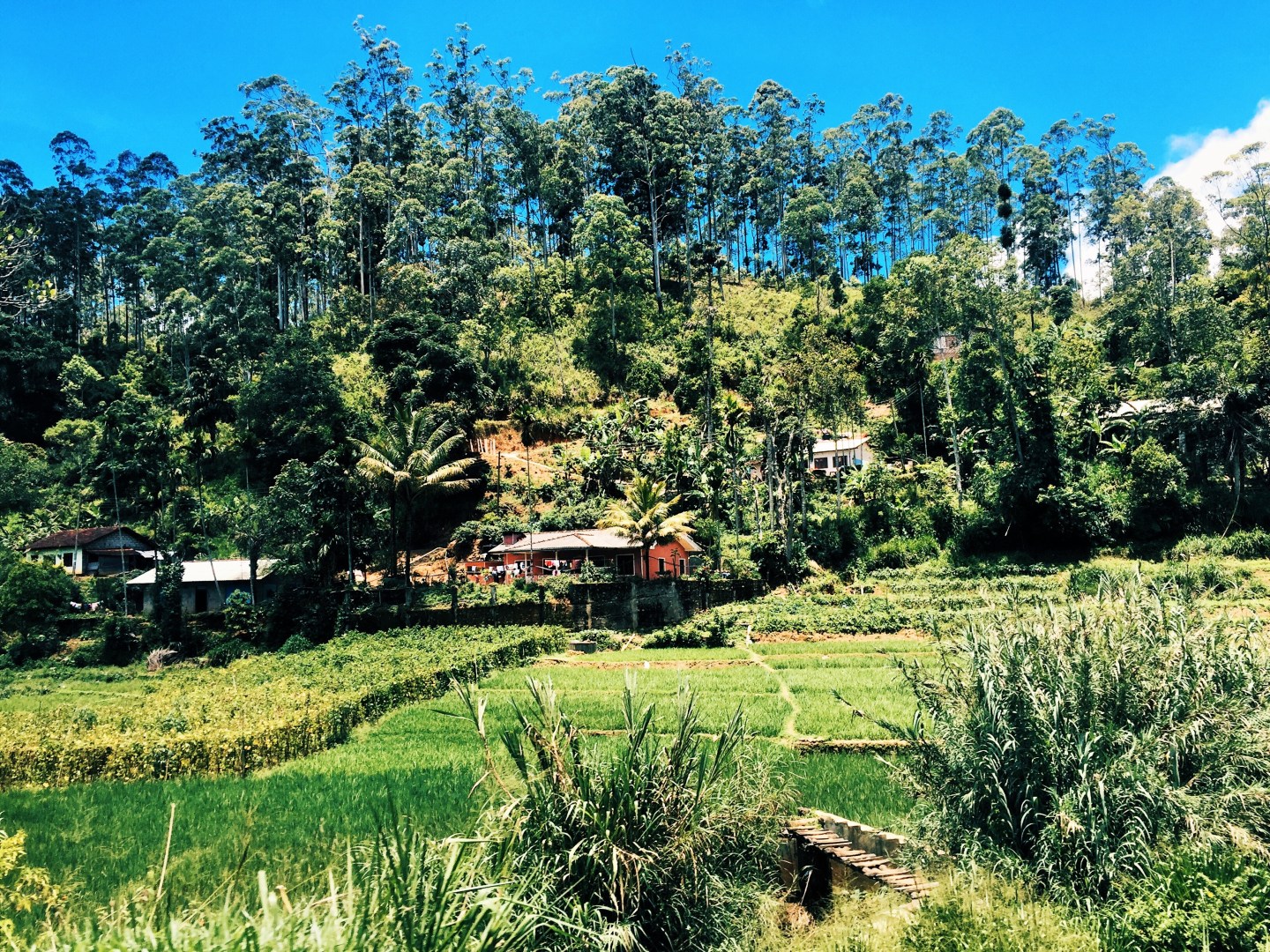 Processed with VSCO with hb2 preset