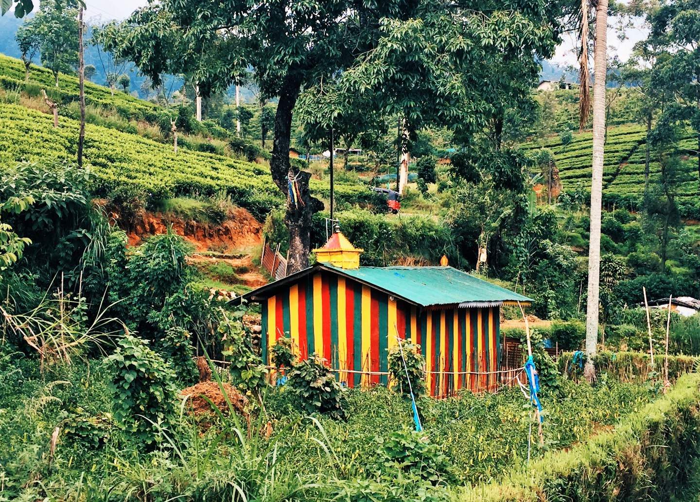 Processed with VSCO with hb2 preset